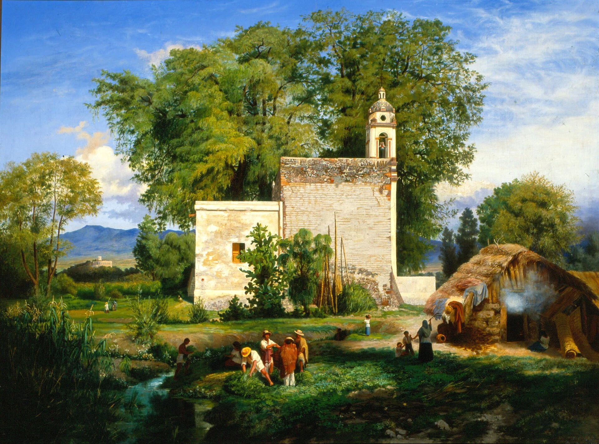 Paisaje de San Cristóbal Romita (Landscape of San Cristóbal Romita)